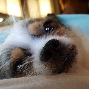 Meet your Posher, Conny